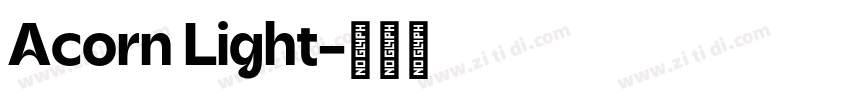 Acorn Light字体转换